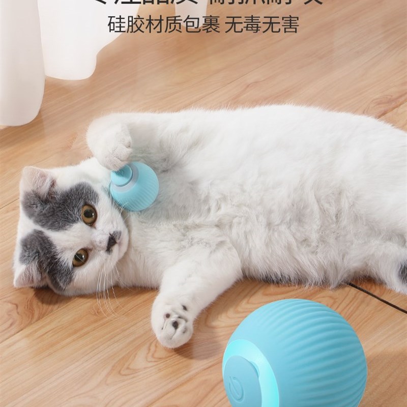 art Cat Toys Intactiev Ball Caintp CaNt Training Toy P - 图2