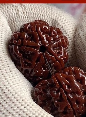 机刷玉化包浆尼泊尔大金刚菩提子手串五星双龙蜂王佛珠文玩男手链