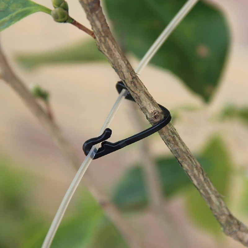 推荐50/100Pcs Plant Cages Supports Tomato  Supports / Connec - 图2