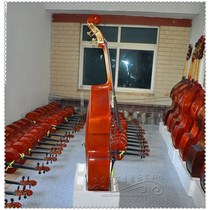 Beginology with solid wood bass cello twice Division 44 34 1W2 14 18