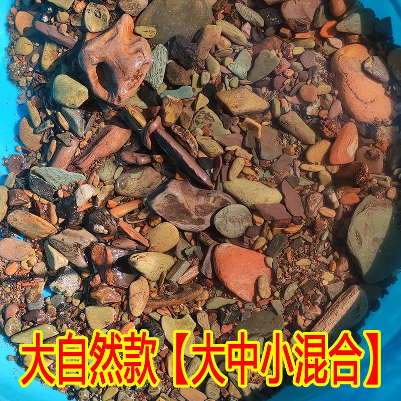 现货速发鱼缸底部砂石创意造景石头白沙白色花盆套餐摆件乌龟彩石 - 图2