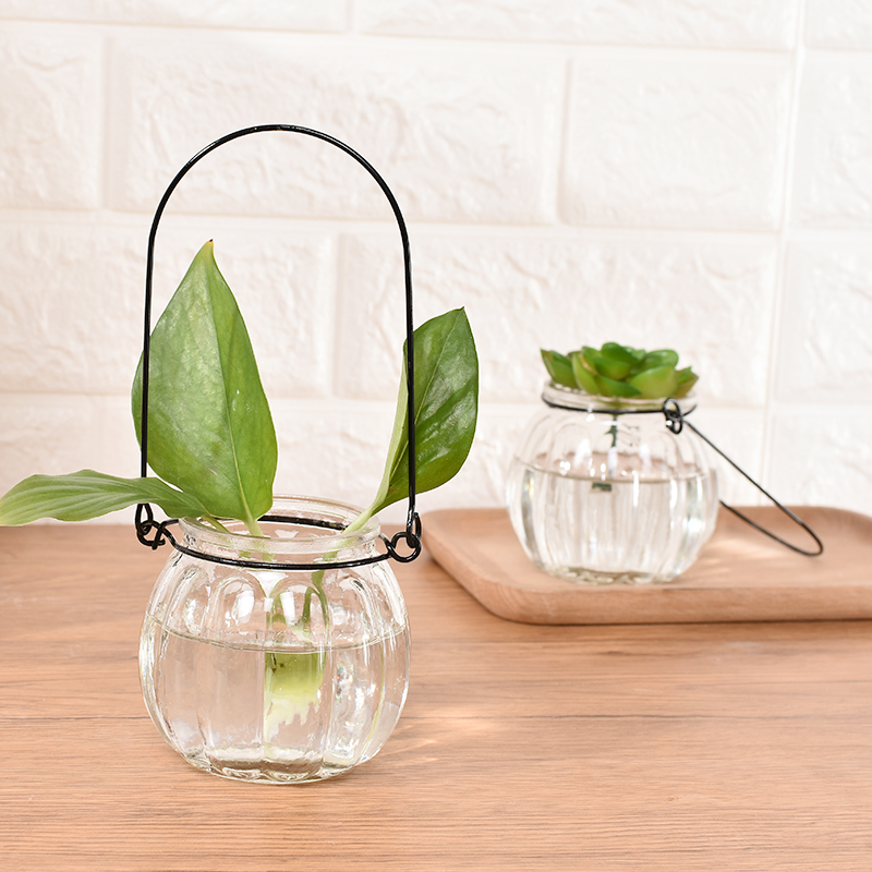 推荐透明玻璃瓶水培植物容器绿萝养花小花瓶干花插花客厅摆件装饰