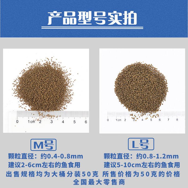 厂家新品莫斯特魔力鱼饲料大蒜素十合一小型观赏鱼食预防鱼疾高蛋