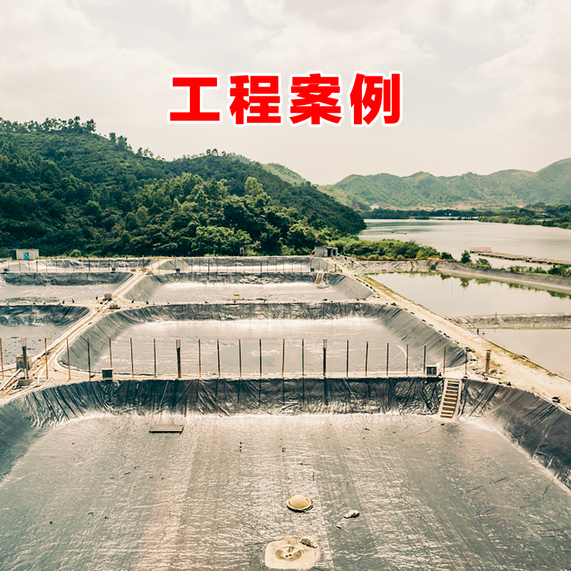 鱼塘防渗膜土工膜黑色加厚塑料膜养殖膜鱼池防水布池塘防水膜专用 - 图2