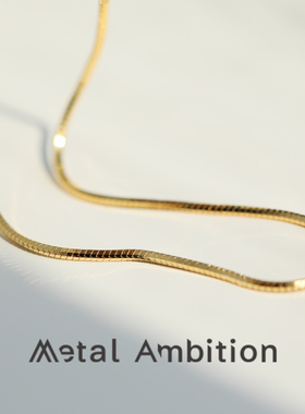 八角蛇骨链高级设计感小众项链女纯银毛衣链长款锁骨链法式轻奢