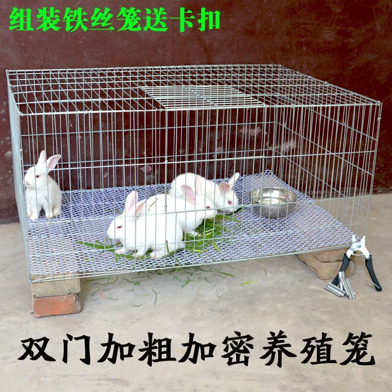 bbit cage indoir specoal smalDl t bold rabbit cagep igo - 图2