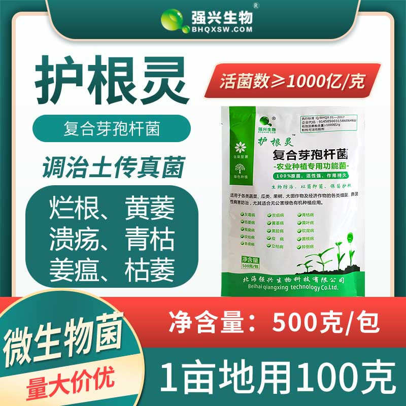 强兴护根灵复合芽孢杆菌青枯病根腐枯萎烂根溃疡姜瘟病农业种植用 - 图0