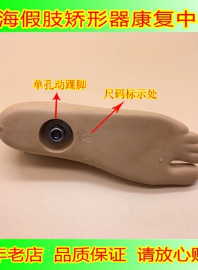 聚氨酯材料大小腿假肢脚板 假脚动踝假脚15CM-27CM 假肢配件