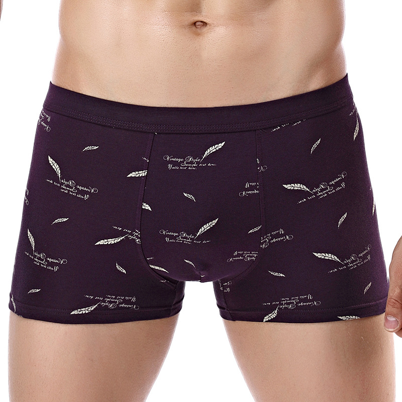 网红New Mens Underwear Boxer Men Cotton Boxers Hombre - 图2