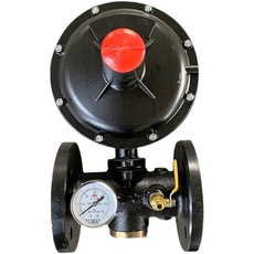 Портативный очистки стерилизации генератора 厂瓦斯稳压阀燃气减o压阀管道调压阀工业锅炉燃气调节二级调压器