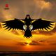 Banying Eagle Kite 2025 Neue U-Brise Einfach zu fliegen Weifang Erwachsene Anti-Wind-Adler-Kinder