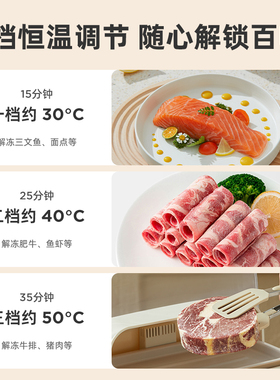 恒温解冻神器解冻肉牛排解冻导热板家用急速解冻盘食物解冻器