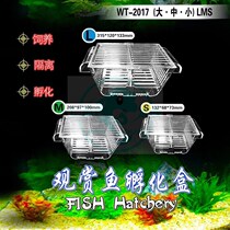 Benevolent and water family peacock fish breeding box acrylic isolation box Special large number of spawning small fry juvenile fish hatching production house