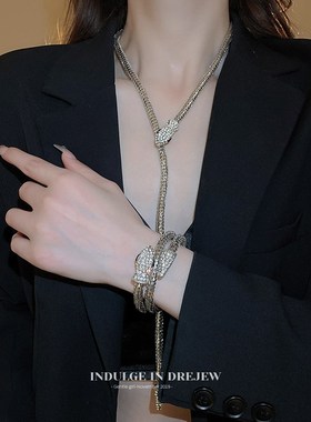 夸张金色蛇形长款项链女2024新款爆款锁骨链小众设计感独特颈链