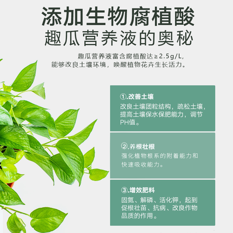 绿萝营养液花卉肥料盆栽通用型水培植物富贵竹养花发财树园艺肥料 - 图1