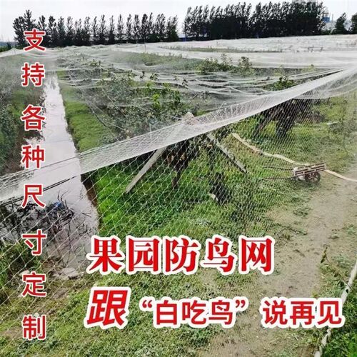 果园防鸟网尼龙樱桃葡萄果树拦鸟用的网鱼塘天网大棚防护网养殖网 - 图1