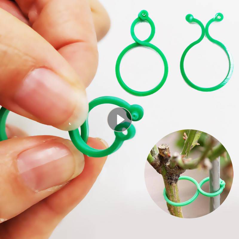 50Pcs Plastic Vine Strappingzlklips Tie Plant Bundled BucC e - 图0