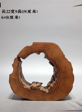 天然风化枯木树根雕空心木头圆圈底座原木随形工艺摆件中式禅意