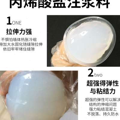 丙灌酸盐双浆料ab注液u高压防水堵漏材料烯浆料丙烯酸盐注 - 图0