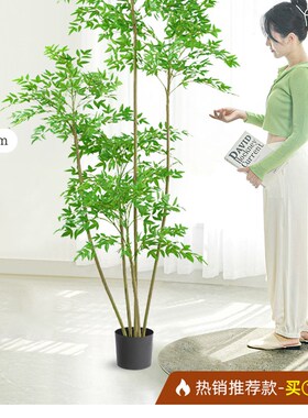 塑料花仿真花高档客厅大盆景荷室内蝴蝶兰竹篮床头装饰结婚3d立体