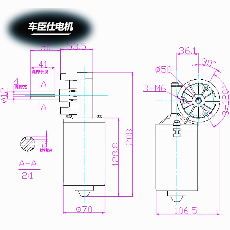 车臣仕电机 大扭矩蜗轮蜗杆直流减速电机24v铜涡轮洗键槽减速电机