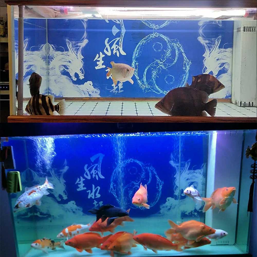 鱼缸背景新款3D高清贴箱定制免胶静风贴电生水起双龙W画水族图壁 - 图3