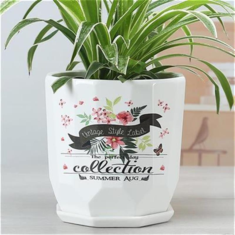 速发Flower pot ceramic large support e extra elarge v specia - 图1