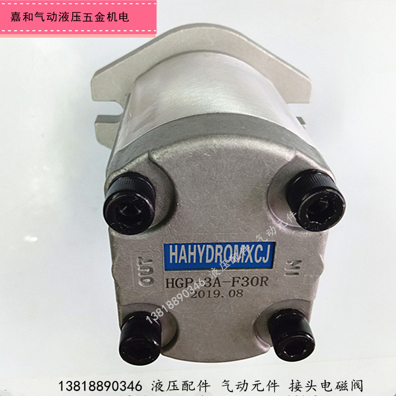 P-2AAF14R HGP-3--F17R HGP-3A-FH19R  HGP-3A-F33R液压齿轮 - 图1