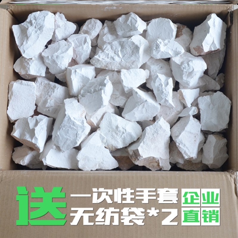 生石灰殖块1毒斤杀菌消0除湿净水驱虫刷树白养粉脱硫养鱼环保刷墙 - 图0