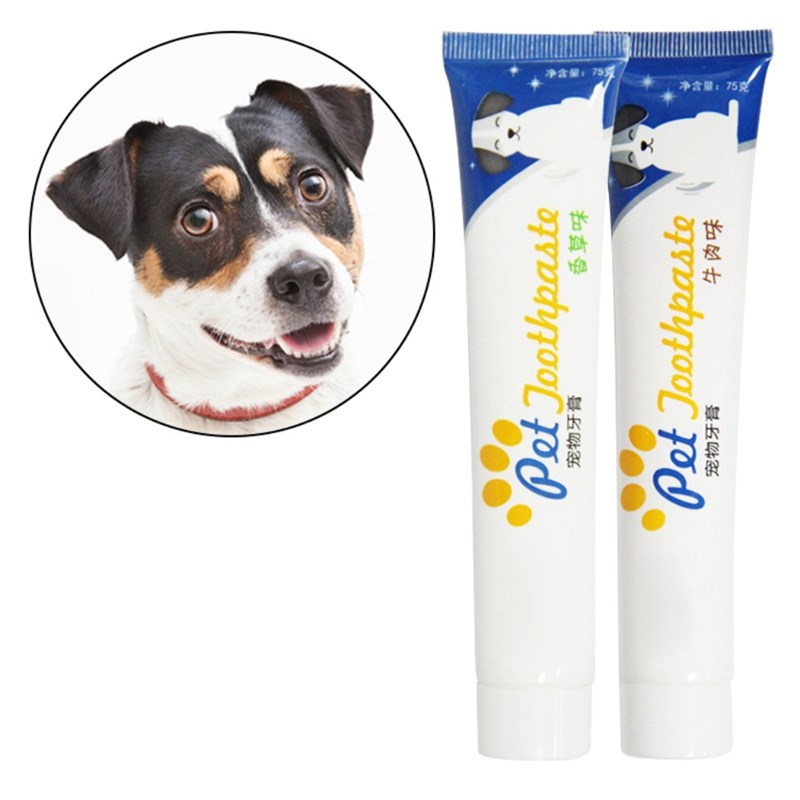 Pet Dog Vanilla Beef Taste Toothpaste Dog Healthy Edible To - 图0