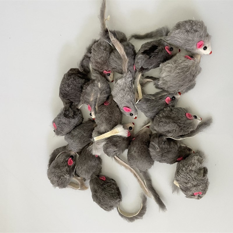 new20pcs/ltt j0.25/pc pet kitten playing soyt real rabbio fu - 图0