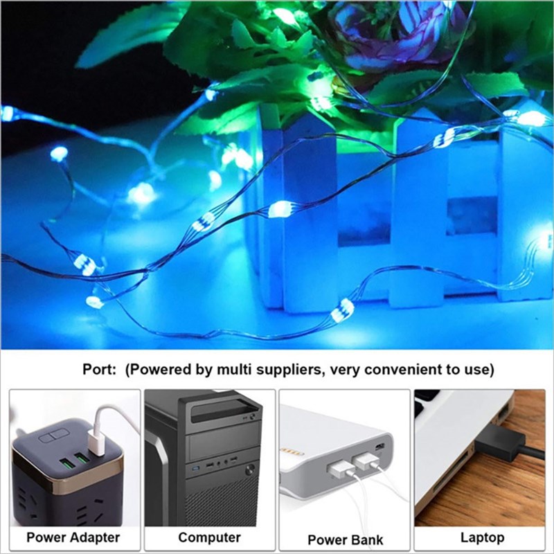 厂家Fairy Lights USB Plug Led diy string light planters Colo - 图3