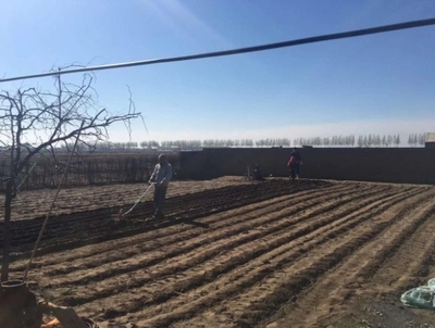 手拉犁小型深翻种菜新款家用犁地开沟种地2019手推耕地耘锄松土机 - 图0