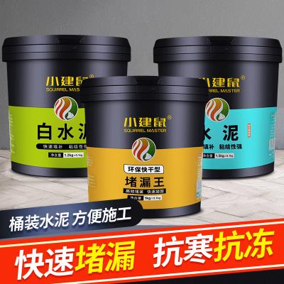 堵漏王快干水泥水不漏卫生间房顶裂缝补L漏水泥白水泥灵防水涂料 - 图0