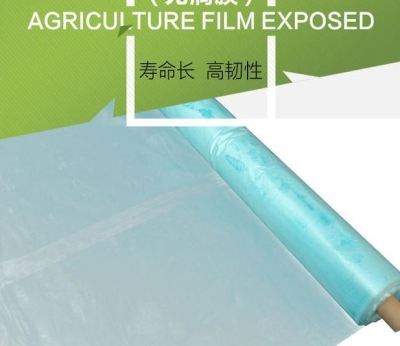 塑明加厚塑料薄i膜农水布透料纸养殖蓝色保温棚W膜防用无滴膜 - 图2