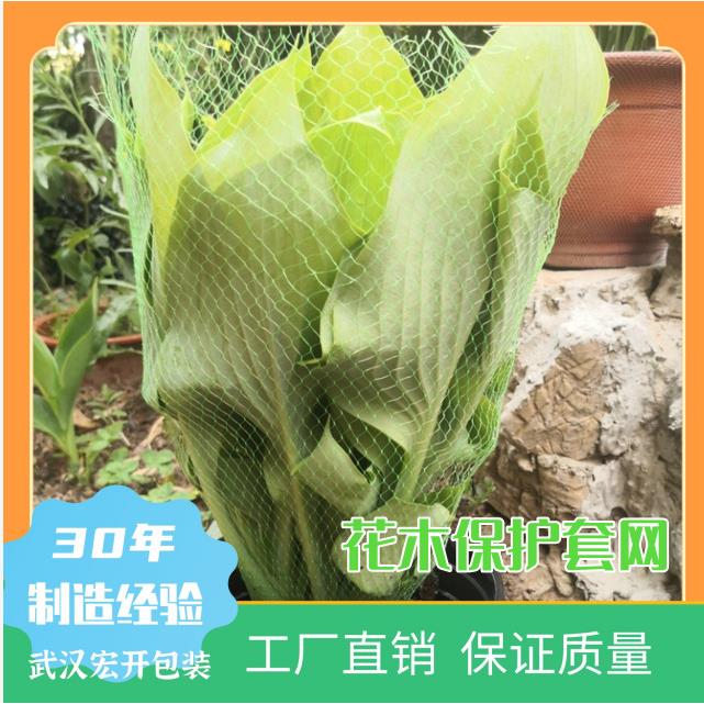 新款盆栽花木花卉发财树绿萝幸福村塑料保护网 - 图1