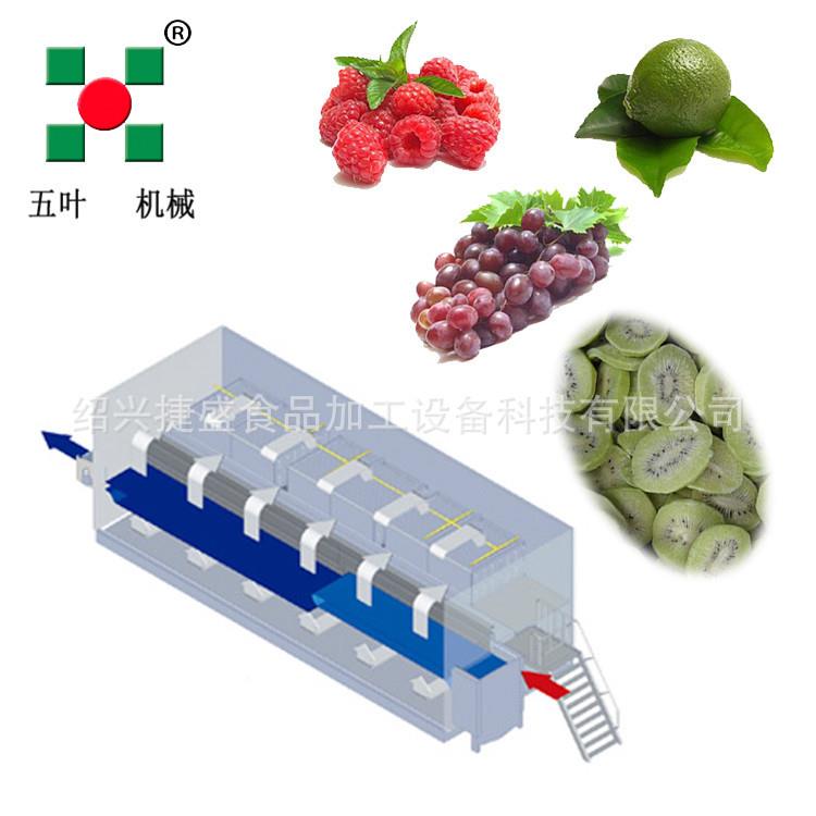 薯条制生产线速流冻机 冻MFW态化速机设备 优质不锈钢作 - 图2