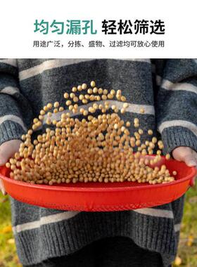 塑料圆簸箕家用筛子商用晒东西筛米大小晒筐细孔过滤彷竹编晒菜网