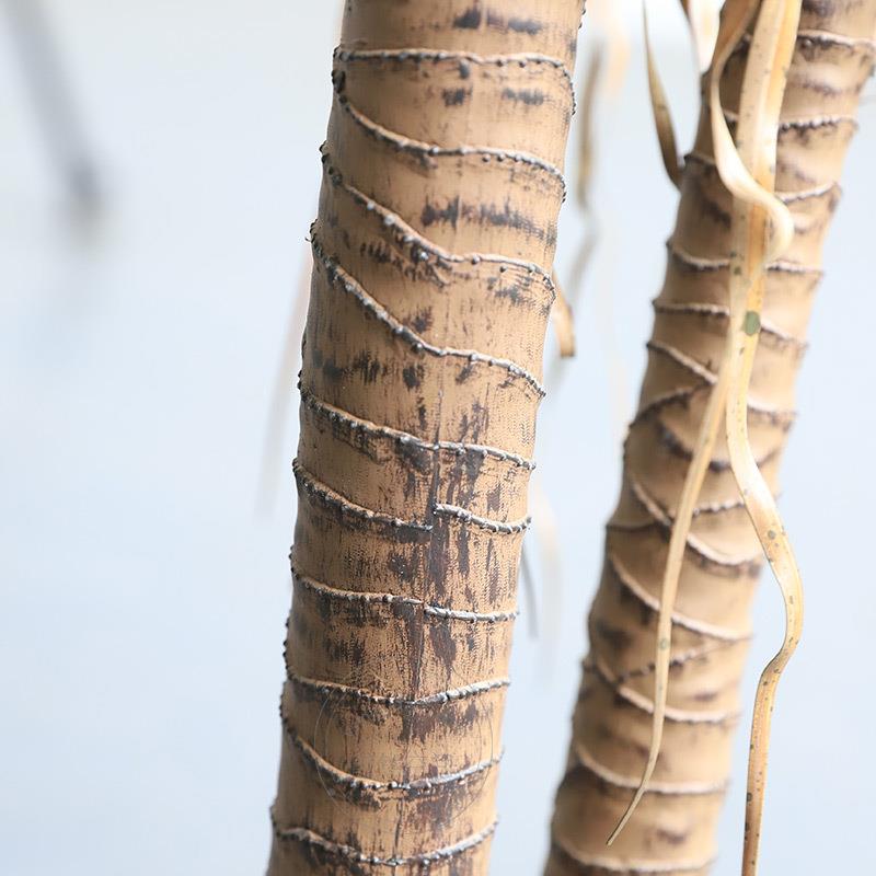 仿真绿植盆栽兰丝树带热物景观沙生植假树地产568448橱窗地堆景观 - 图0