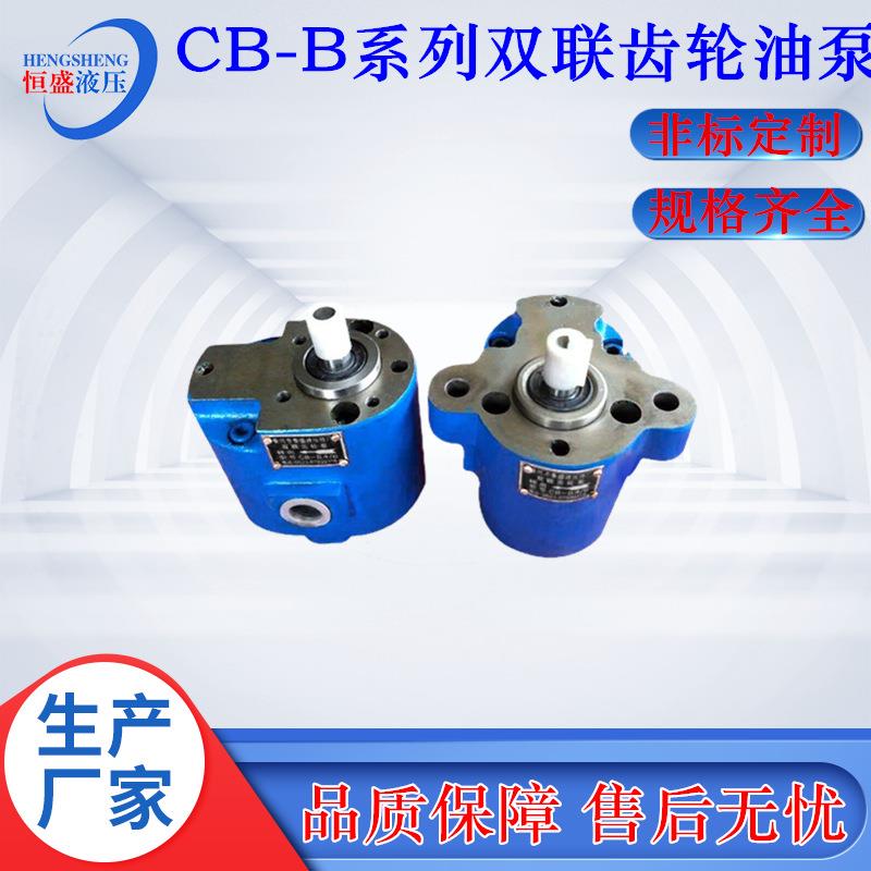 两进两出CB-B16/20B10B32B80B4CB-B25/6双联润滑齿轮抽油泵 - 图2