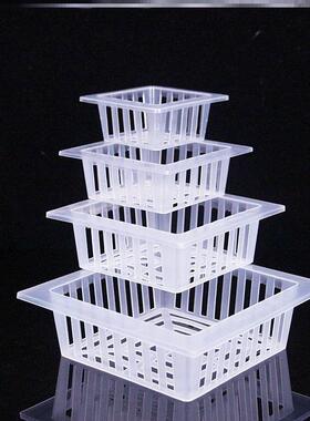 水培花盆内篮塑料水养植物控根定植篮种植篮绿萝吊兰器皿圆形