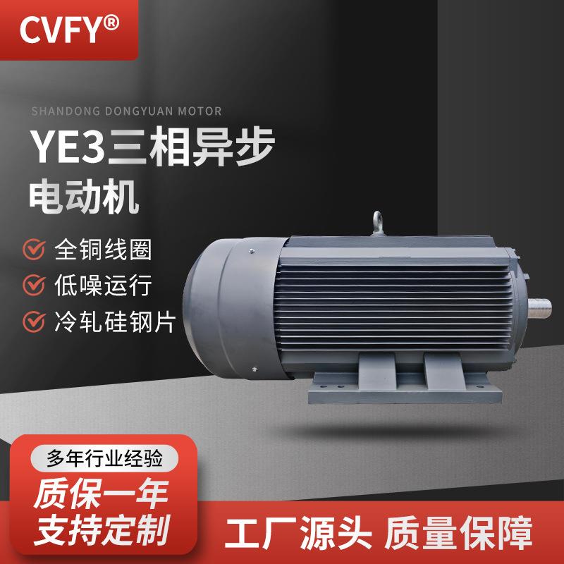 三相异步电动机YE3-315S/M-10极电机45/55W600r/min380V马达 - 图2