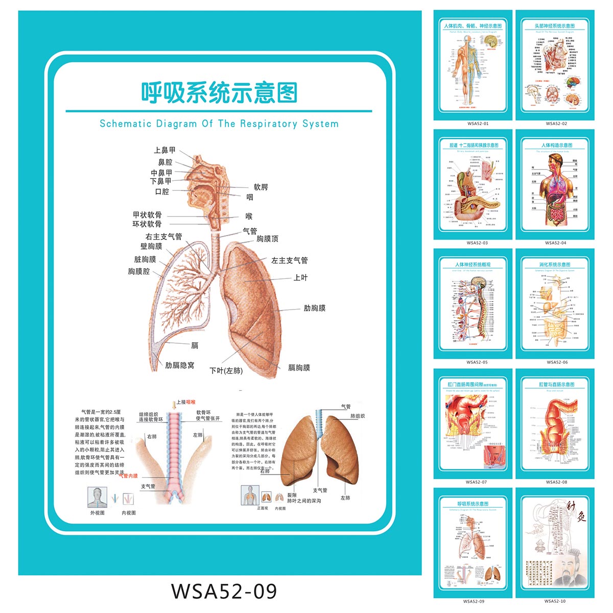 Waste Management Chart Poster