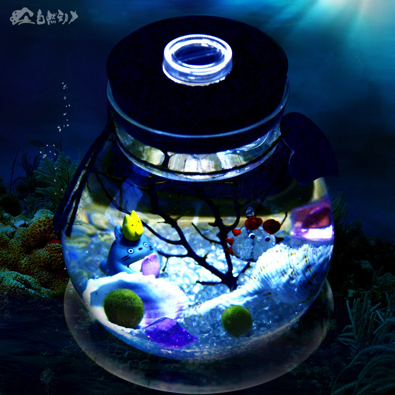 Buy Nightlight Creative Gifts Happiness Seaweed Ball Marimo Baby