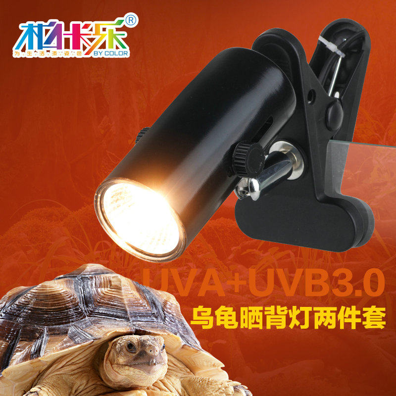 heat bulb for tortoise