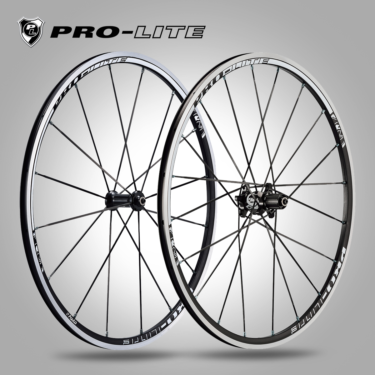 bicycle wheel spokes