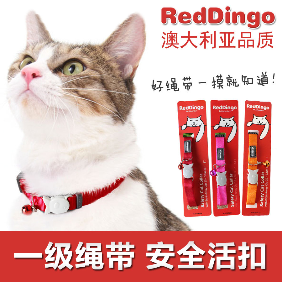 cat collar price