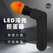 Professional Eggshell Flashlight Hatching Special Luding Chicken Bright Light Penetrating Light Duck Goose LED Egg Inspection High Electricity