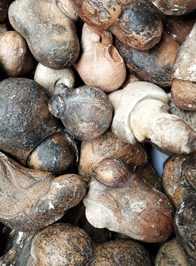 地表戈壁原石古手玩摆件随机发货