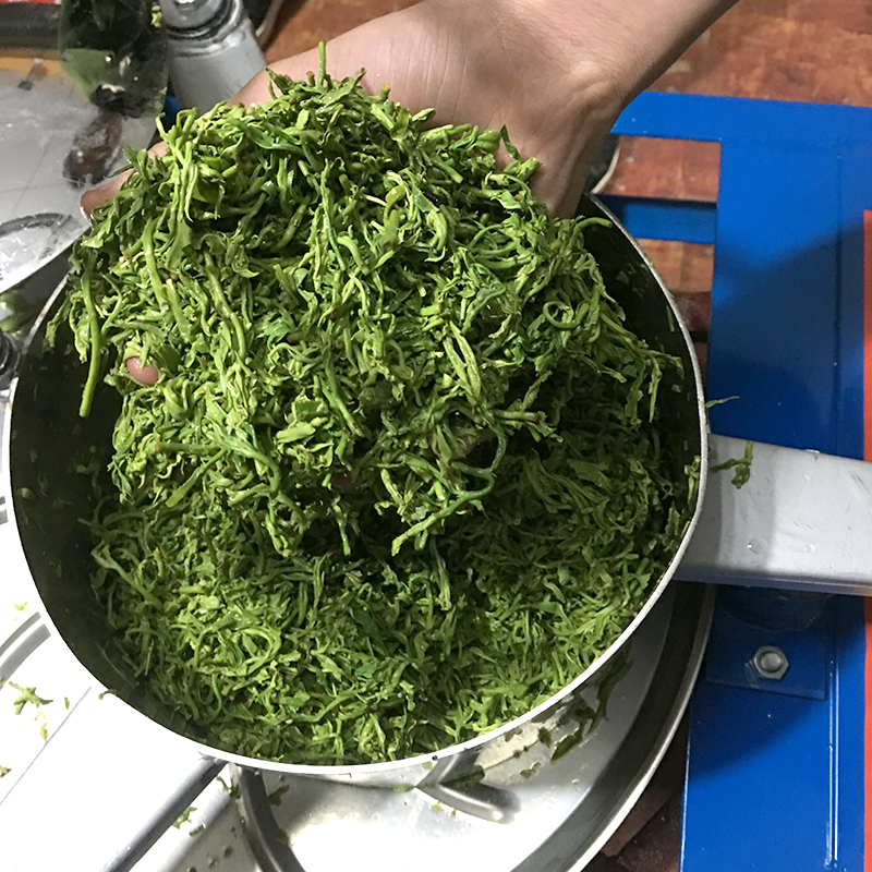 茶叶揉捻机不锈钢手动制茶机炒茶机商用电动小型家用揉茶机全自动 - 图3